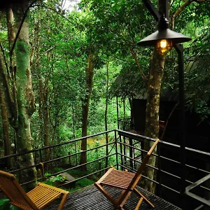 ranches-jungle-beats-resorts.kerala-hotels.net/